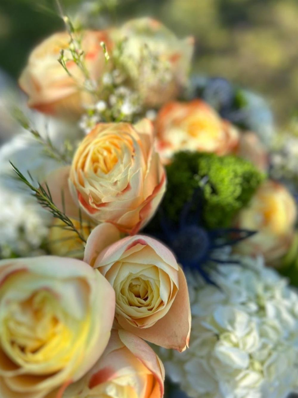 Yellow roses arrangement